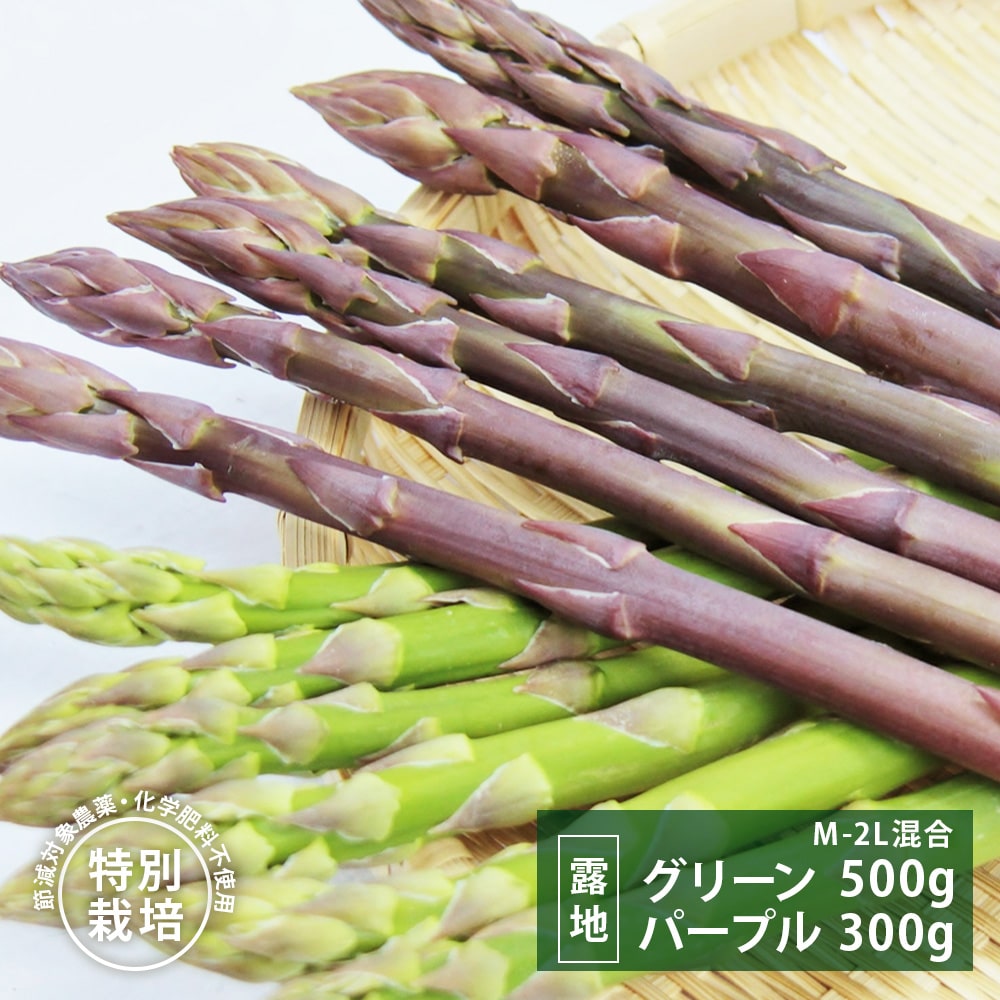 春採りグリーンアスパラ500g＋パープルタワー300g [M～2L混合]｜PREZO
