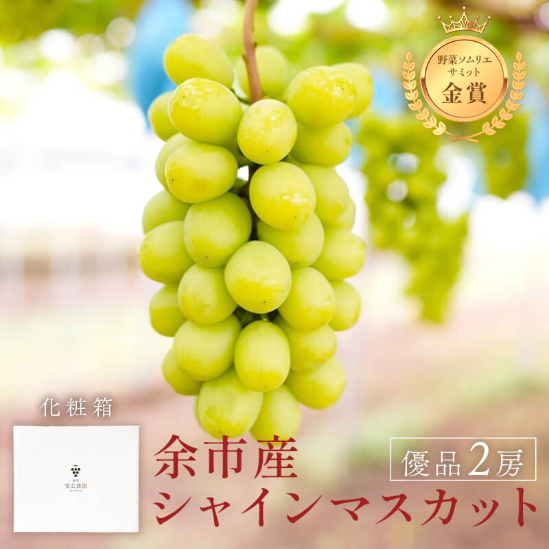 北海道産シャインマスカット【優品】2房