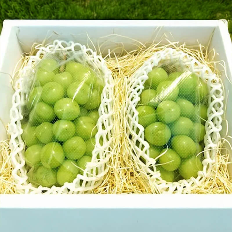 北海道産シャインマスカット【秀品】2房×2箱｜PREZO(プレゾ) - 北海道