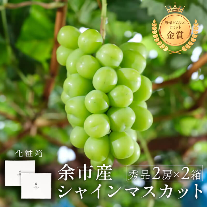 シャインマスカット〜 ひとくちで2度のしあわせ ～ 2025年秋冬新商品「ひとくちチーズ