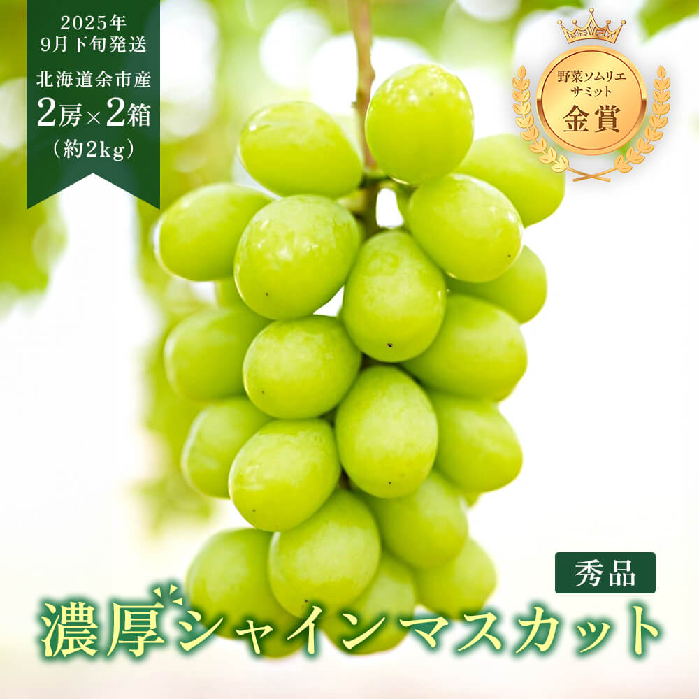 北海道産シャインマスカット【秀品】2房×2箱｜PREZO(プレゾ