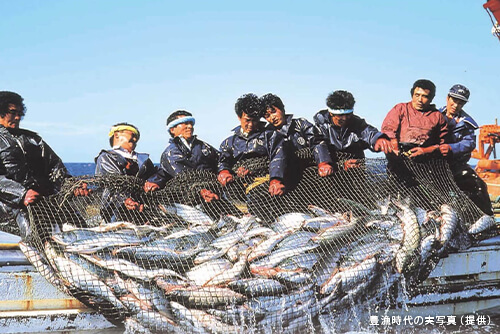 水揚げから加工までがスピーディーのイメージ