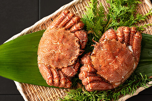 濃厚な風味と旨み。ホロホロの身のイメージ