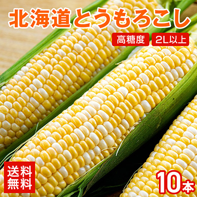 送料無料｜北海道当別町産ドルチェドリーム2L 10本のイメージ