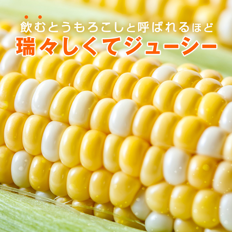 送料無料｜北海道当別町産ドルチェドリーム2L 10本｜PREZO