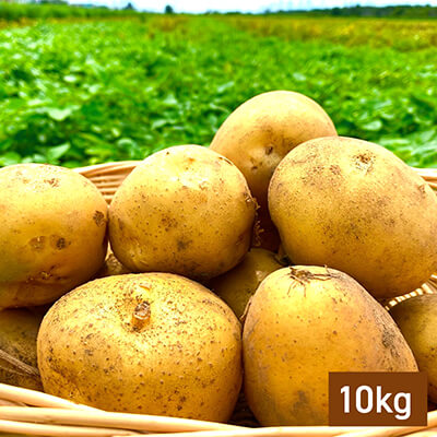 なめらかな甘さ！北海道産じゃがいも【北カムイ】10kgのイメージ