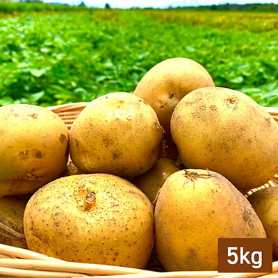 なめらかな甘さ！北海道産じゃがいも【北カムイ】5kgのイメージ