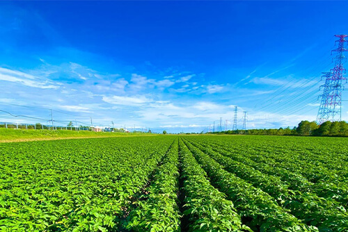冷涼な気候と寒暖差が美味しさの秘密のイメージ
