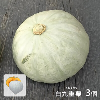 白九重栗（しろくじゅうり）かぼちゃ3個【化学農薬不使用】のイメージ