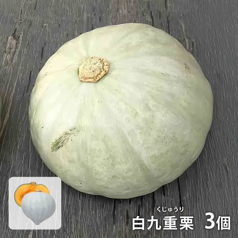 白九重栗（しろくじゅうり）かぼちゃ3個【化学農薬不使用】｜PREZO