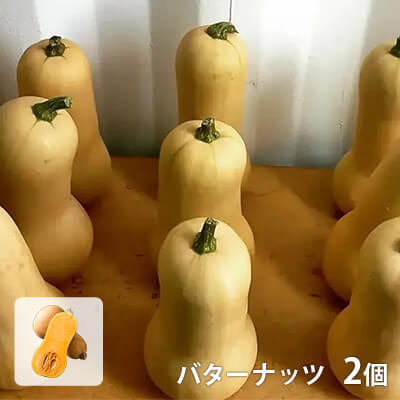 バターナッツかぼちゃ2個【化学農薬不使用】のイメージ