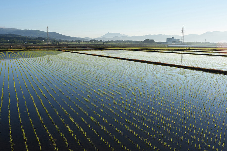 地元だから、にこだわった味わいのイメージ