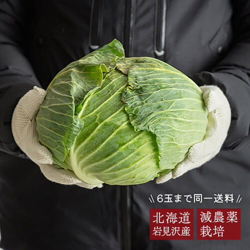 岩見沢産 減農薬で育てたキャベツのイメージ