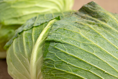 農薬を控え、本来の美味しさを底上げのイメージ