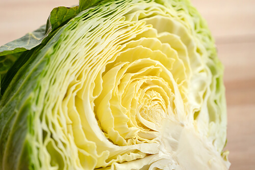 葉が肉厚でシャキシャキのキャベツのイメージ
