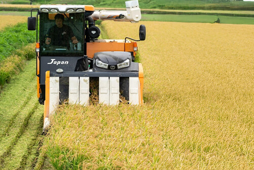 基準以上に農薬・化学肥料を制限のイメージ