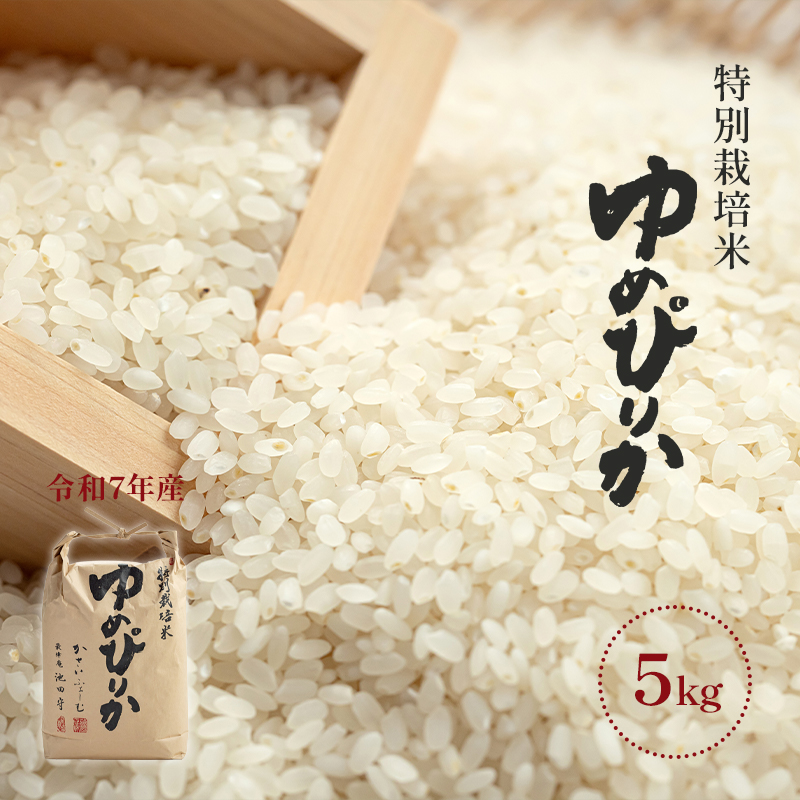 岩見沢産ゆめぴりか5kg【北海道特別栽培米】｜PREZO(プレゾ) - 北海道