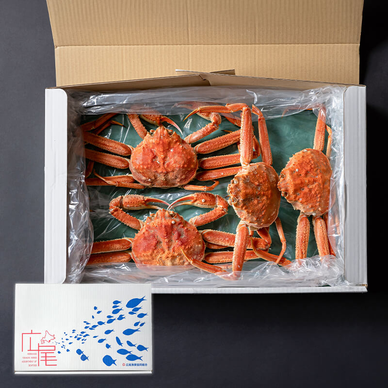 訳あり！北海道広尾沖産オオズワイガニ1.5kg【ボイル冷凍】｜PREZO