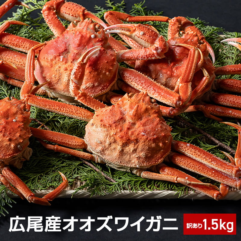 訳あり！北海道広尾沖産オオズワイガニ1.5kg【ボイル冷凍】｜PREZO