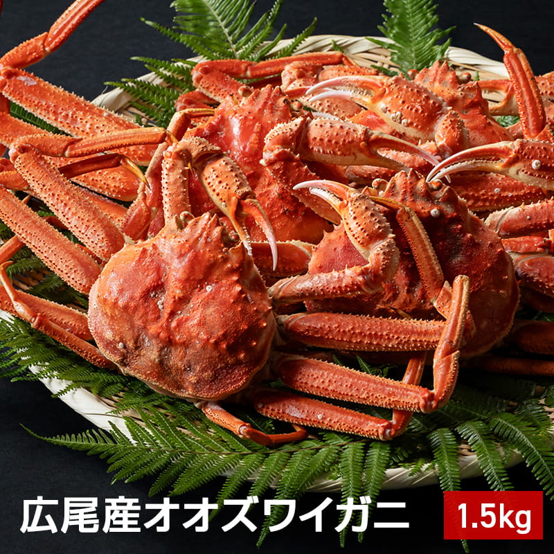 北海道広尾沖産オオズワイガニ姿1.5kg【ボイル冷凍】｜送料無料のイメージ