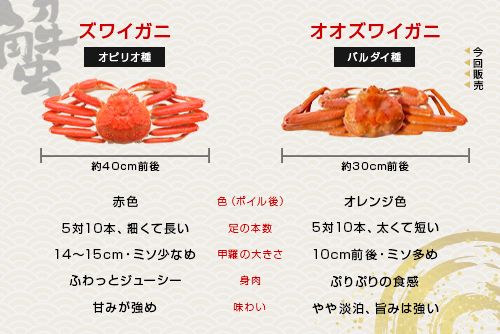 漁業者の間では、松葉ガニに負けないおいしさとの声ものイメージ