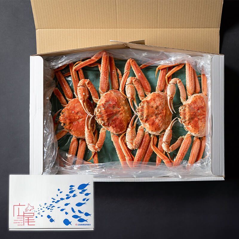 北海道広尾沖産オオズワイガニ姿1.5kg【ボイル冷凍】｜PREZO(プレゾ