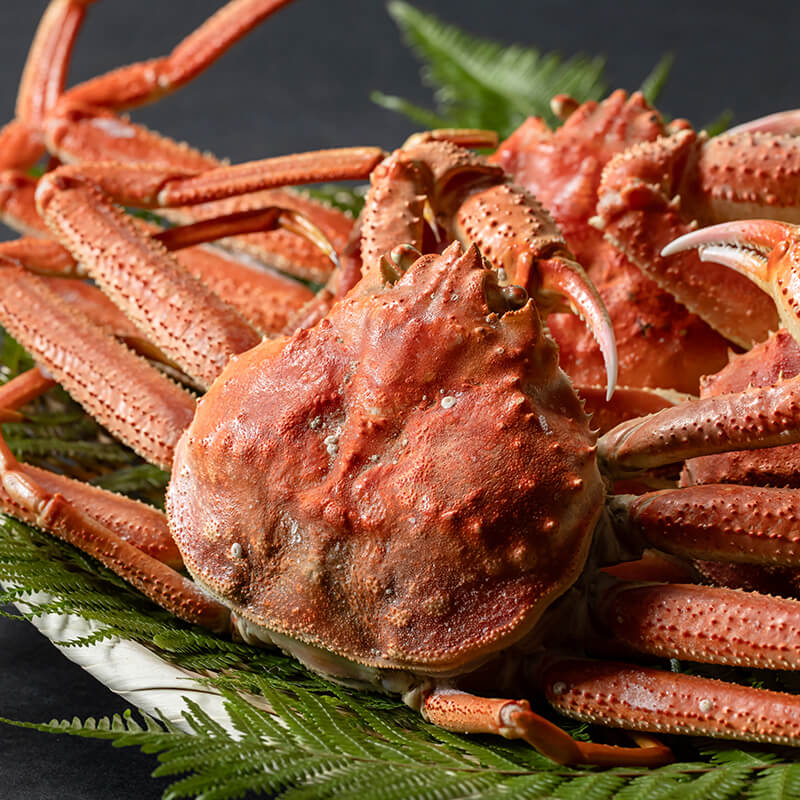 北海道広尾沖産オオズワイガニ姿1.5kg【ボイル冷凍】｜PREZO(プレゾ