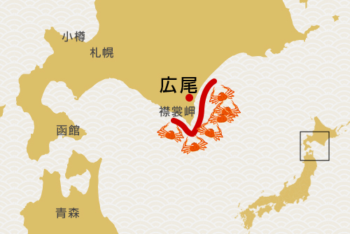 今年は広尾沖でも大漁！浜茹で冷凍のイメージ