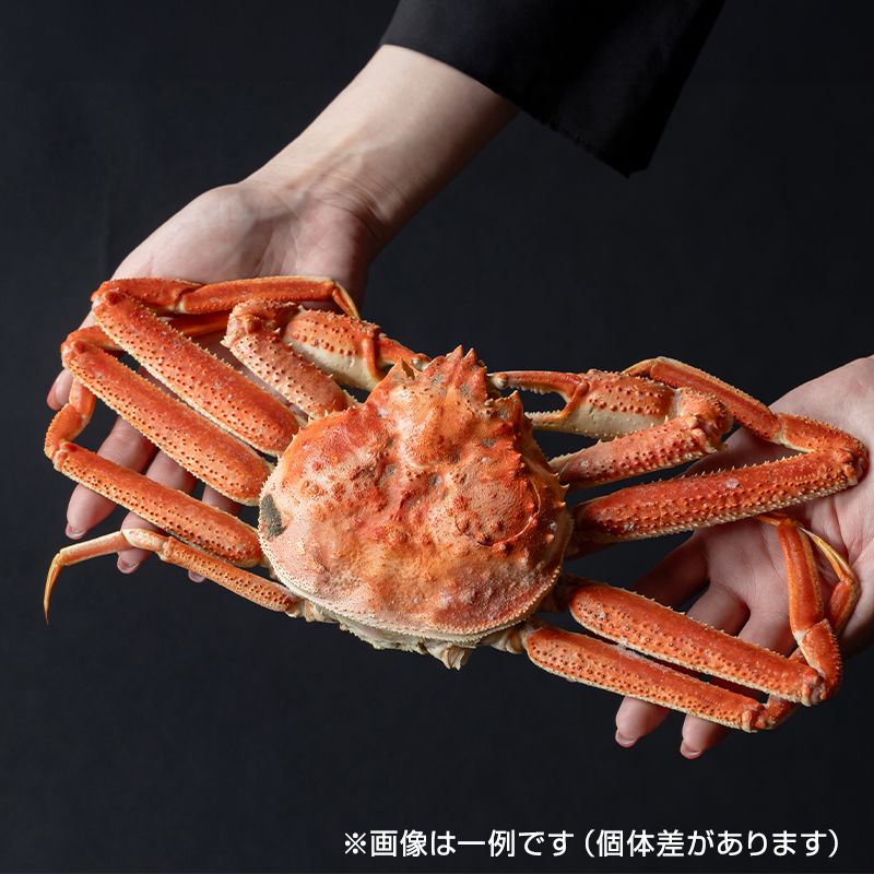 北海道広尾沖産オオズワイガニ姿1.5kg【ボイル冷凍】｜PREZO(プレゾ