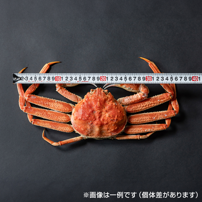 北海道広尾沖産オオズワイガニ姿1.5kg【ボイル冷凍】｜PREZO(プレゾ