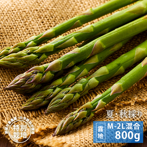 夏秋採りグリーンアスパラ800g [M～2L混合]のイメージ