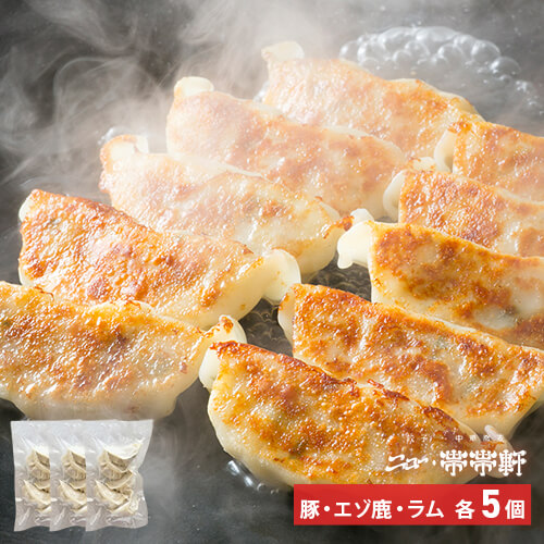 竹内農場のキャベツを使った「ニュー・帯帯軒」の冷凍餃子（15個入）のイメージ