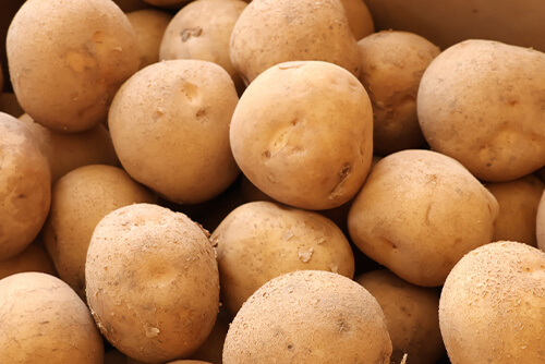 甘さ控えめの品種も低温貯蔵で甘くのイメージ