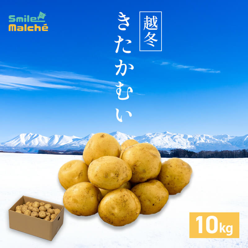 越冬じゃがいも【きたかむい】10kg｜PREZO(プレゾ) - 北海道のお
