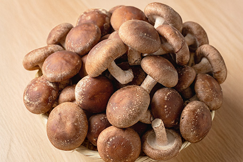 彰角しいたけの規格外品のイメージ