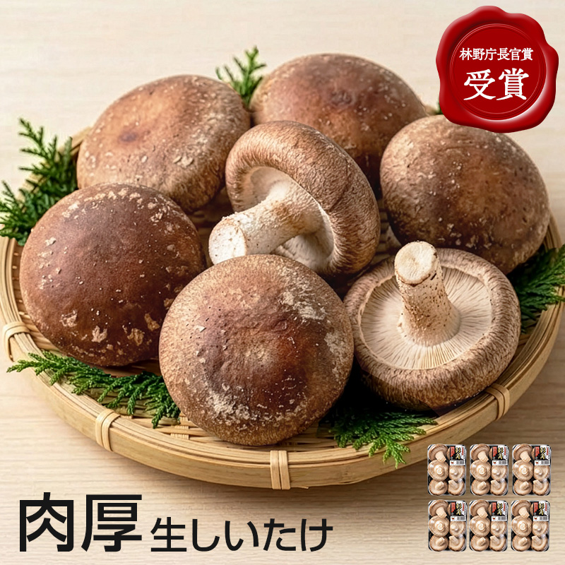 北海道東神楽町産（菌床）彰角しいたけ 6パックのイメージ