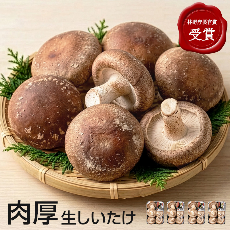 北海道東神楽町産（菌床）彰角しいたけ 4パックのイメージ