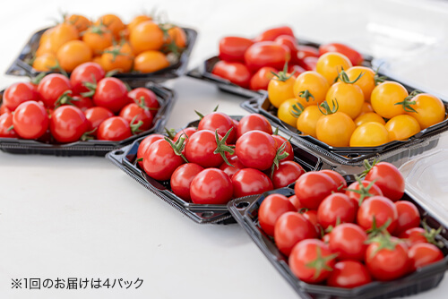 どの種類かは届いてからのお楽しみ♪のイメージ