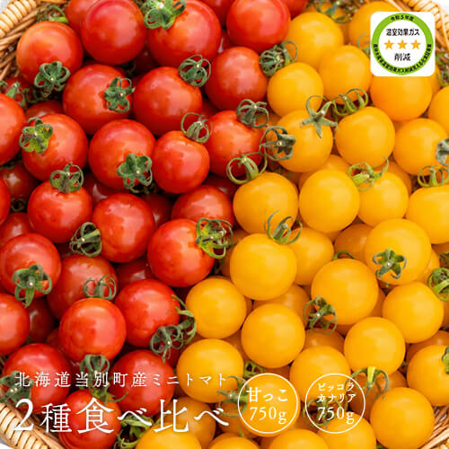 北海道当別産ミニトマト2種食べ比べ（甘っこ750g + ピッコラカナリア750g）のイメージ