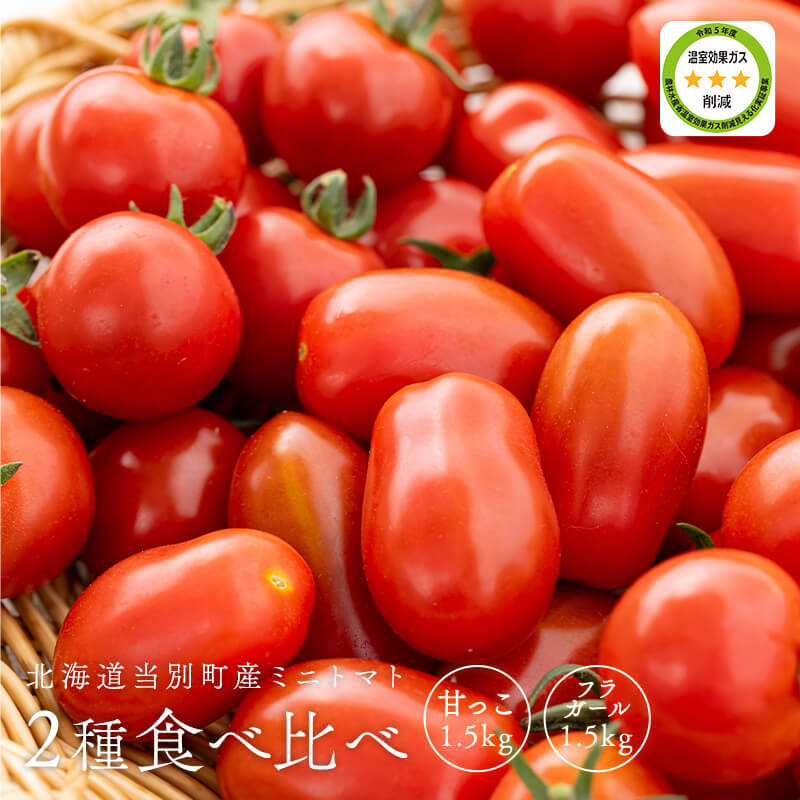北海道当別産ミニトマト2種食べ比べ（甘っこ1.5kg + フラガール1.5kg