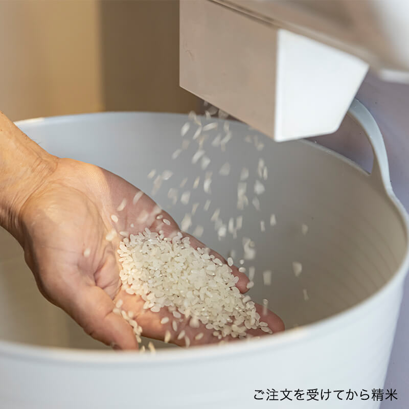 北斗市産ゆめぴりか10kg（5kg×2袋）｜令和7年産｜特別栽培米｜PREZO