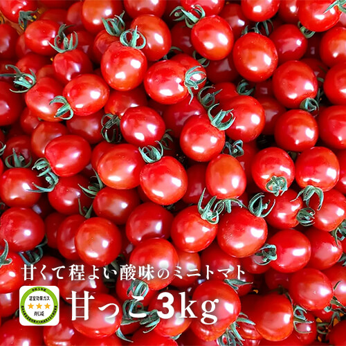 濃厚な甘み！北海道産ミニトマト「甘っこ」3kgのイメージ