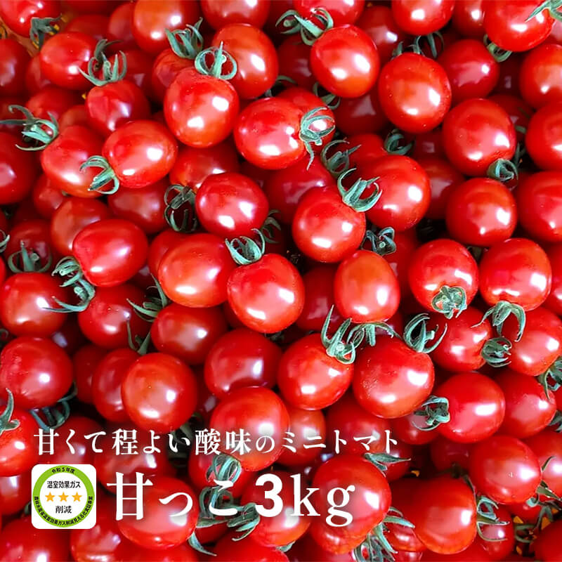 高級手芸 スキルスクリーン 完成品 ミニトマト柄 濃厚な甘み！北海道産ミニトマト「甘っこ」3kg｜PREZO(プレゾ