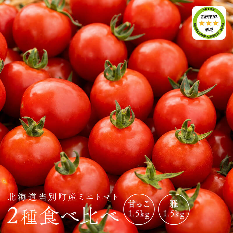 ミニトマト様 北海道当別産ミニトマト2種食べ比べ（甘っこ1.5kg + 雅1.5kg）｜PREZO