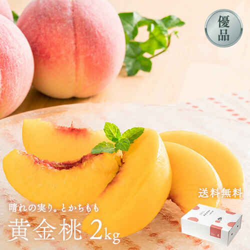 晴れの実り。とかちもも｜黄金桃 2kg【優品】のイメージ