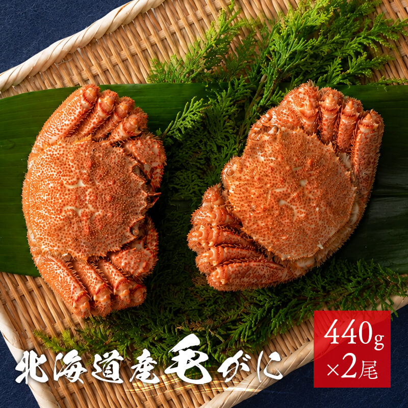 北海道産毛がに 440g×2尾（ボイル冷凍）｜PREZO(プレゾ) - 北海道のお