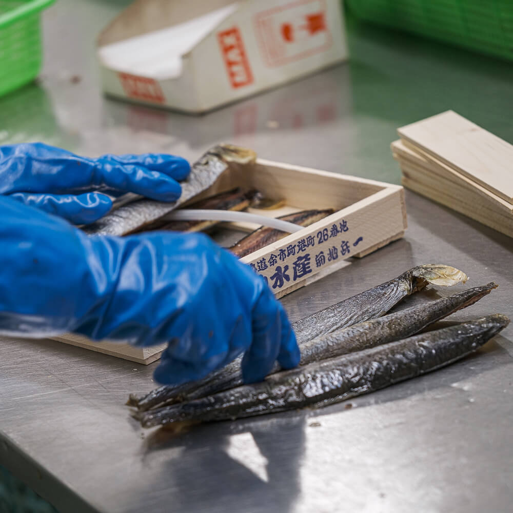 身欠きニシン 本乾タイプ Prezo プレゾ 北海道の豊かな恵みを産地直送