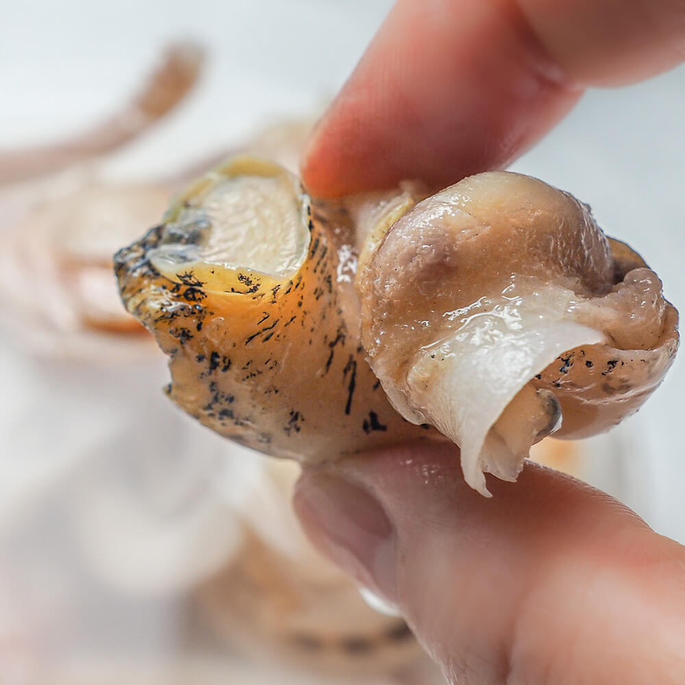 シーフードミックス（500g） 2袋セット｜PREZO(プレゾ) - 北海道のお