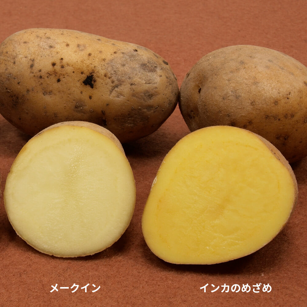 十勝産メークインとインカのめざめ 10kg｜PREZO(プレゾ) - 北海道のお