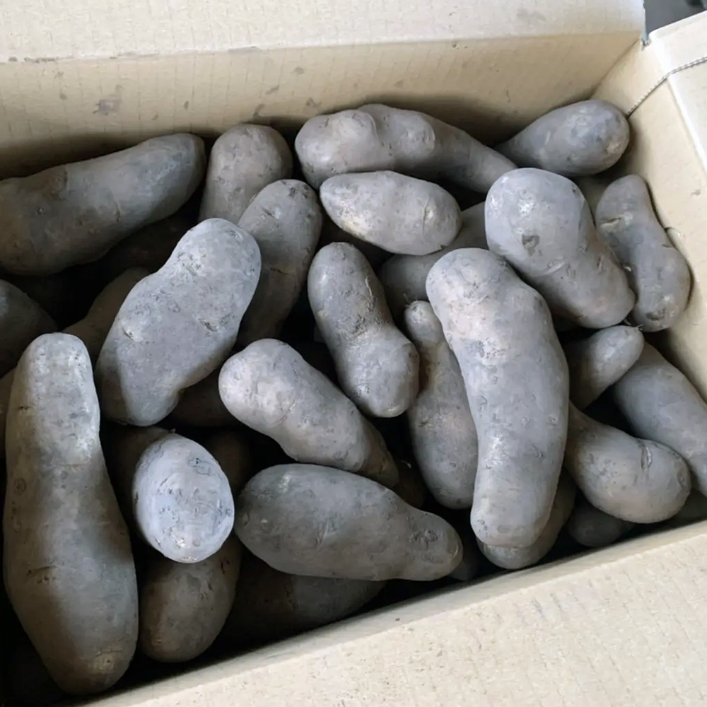 十勝産メークインとインカのめざめ 10kg｜PREZO(プレゾ) - 北海道のお